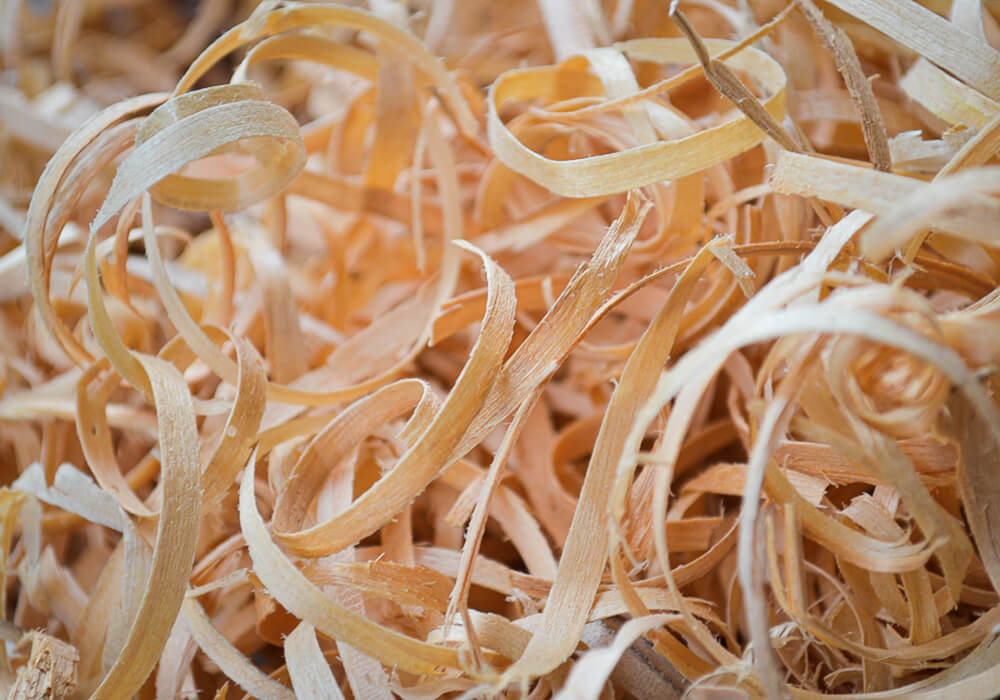 filwood prend son envol et industrialise sa production